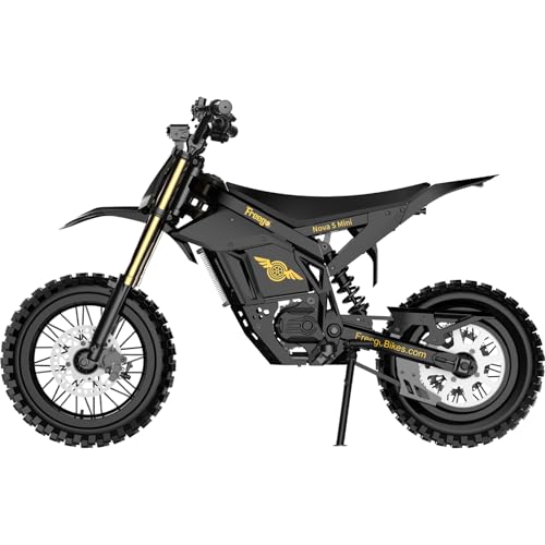 Freego Nova 5 Mini Electric Bike for Teens/Adults  - Detailed View