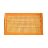 Compatible for Jaguar S-TYPE X200 XF X250 XJ Engine Air Filter, 2W939601AC AJ82766 C2Z15037