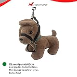 Premium Geschirr Hund - Erziehungshalsband liebevoll, Antizug- / no Pull Geschirr garantiert, mindert Aggression, Antibellhalsband, Kopfhalfter, Hundehalfter: kleine bis große Hunde, schwarz