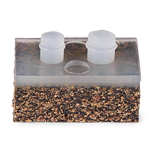 Hayward Axv413P Ultra Cork Pod Shoes Swimming Pool Navigator Vac Kit #TOP1