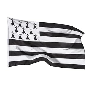 PHENO FLAGS Bretagne Flagge 90x150cm - wetterbeständige Fahne mit Messingösen, 100% Polyester, robuste Doppelnaht & in lebendigen Farben - ideal für Flaggen-Liebhaber