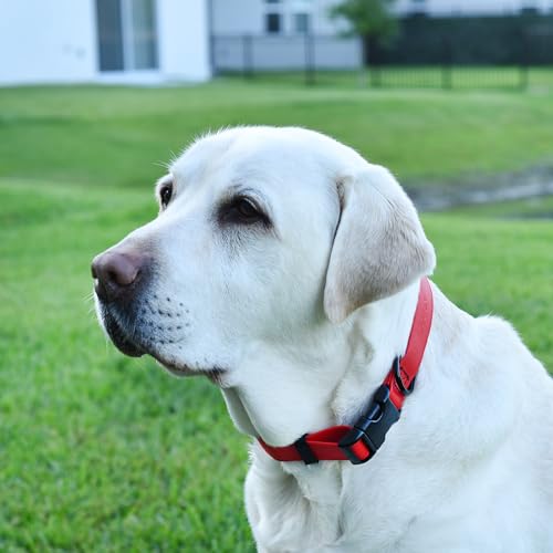 Image of Dogline Biothane Waterproof Dog Collar with Quick Release Buckle Strong Coated Nylon Webbing with Odor- Proof for Easy Care Easy to Clean Fits Small Medium or Large Dogs, Red 3 /4 inch W 12-19 inch L