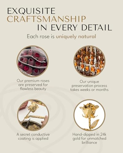 Image of Forever Rose 24K Gold Dipped Real Rose - Handmade, Long-Lasting Preserved Flower in Glass Vase & Gold Box, Romantic Gift for Anniversary, Valentine's, Mother's Day, Birthday, Wedding, Wife, Girlfriend