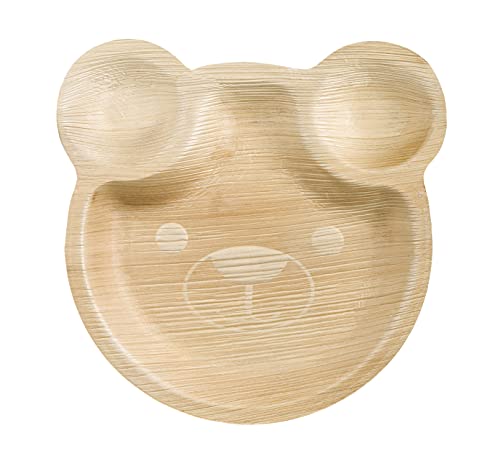 Tessera Bio Products QPF25BR Lot de 10 assiettes en feuilles de palmier 25 cm biodégradables compostables jetables pour fêtes et événements Cover