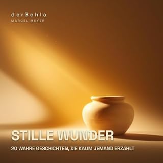 Stille Wunder &mdash; 20 wahre Geschichten, die kaum jemand erz&auml;hlt Titelbild
