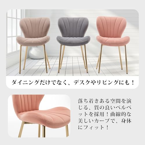 ダンクトゥール(ダンクトゥール) ダイニングチェア 2脚セット シャンパンゴールド脚 3色対応 ダイニングチェアー リビングチェアー イス 椅子 モダン (グレー) [4]