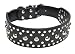 2" Wide Premium Leather Studded Dog Collar, Medium Black, by Downtown Pet Supply
