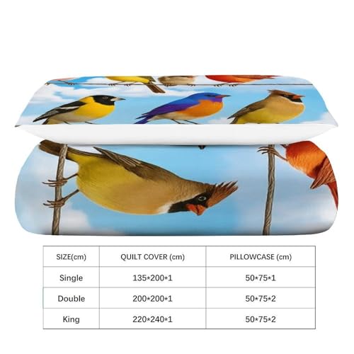 Housse de couette 2 pièces aesthetic sky birds lit simple microfibre