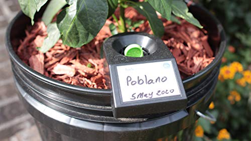 Grobucket Grotech Garden Self Watering Planter Insert - Automatic Watering System For Potted Plants - Easy Plant Watering For Gardening Like A Pro - (Set Of 3) #TOP3