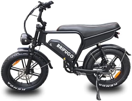 20 pulgadas 4.0 Fat Tire E-Bike Cargo para adultos, potente motor 48V sin escobillas e-bike, marco de aleación de aluminio, horquilla de suspensión bicicleta eléctri...