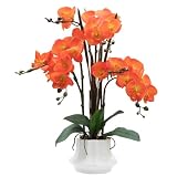 CXGS 20.9 Real Touch Orange