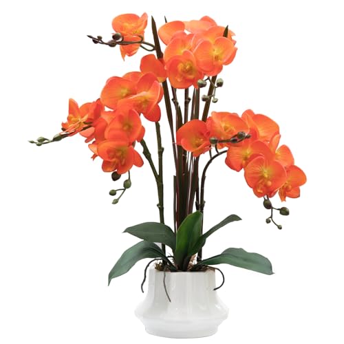 CXGS Artificial Orchid Flower Plant 20.9'' Real Touch Faux Orchids in Ceramic Vase Orange Fake Phalaenopsis Flower Arrangement Silk Orchids with Stems for Centerpiece Table Home Indoor Decor by CXGS - Used condition - US$39.12