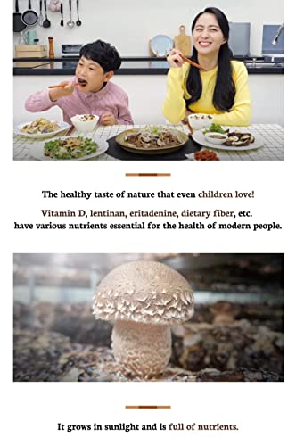 Suncheonhyang 100% Korean New Premium Dried 송화버섯 Shiitake Mushrooms (3.52Oz) - Soft & Chewy Texture, Fresh Flavor, Rich Nutrient, Superfood #TOP4