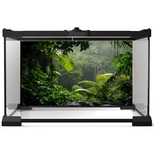 Image of Raining Rainforest Aquarium Background Tropical Rain Shower Green Jungle Leaves Fish Tank Background Lush Foliage Wet Forest Reptile Tank Backgrounds Foggy Trees Reptile Enclosure Backgrounds 24x12in