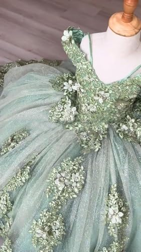 Charming Tulle Gown Lace Junior Bridesmaids for Teen Girls Off-Shoulder Design Flower Girl Dresses for Wedding2