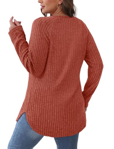 Image of Saloogoe Long Sleeve Shirts for Women 2025 Fall Clothes Tunic Tops Loose Fit Dressy Crewneck Pullover Sweaters Curved Hem