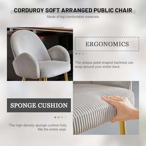 Image of Eifizek Home Office Desk Chair no Wheels, Modern Corduroy Upholstered Vanity Chair with Gold Legs for Girls Women, Ergonomic Padded Backrest for Living Room Bedroom, Grey