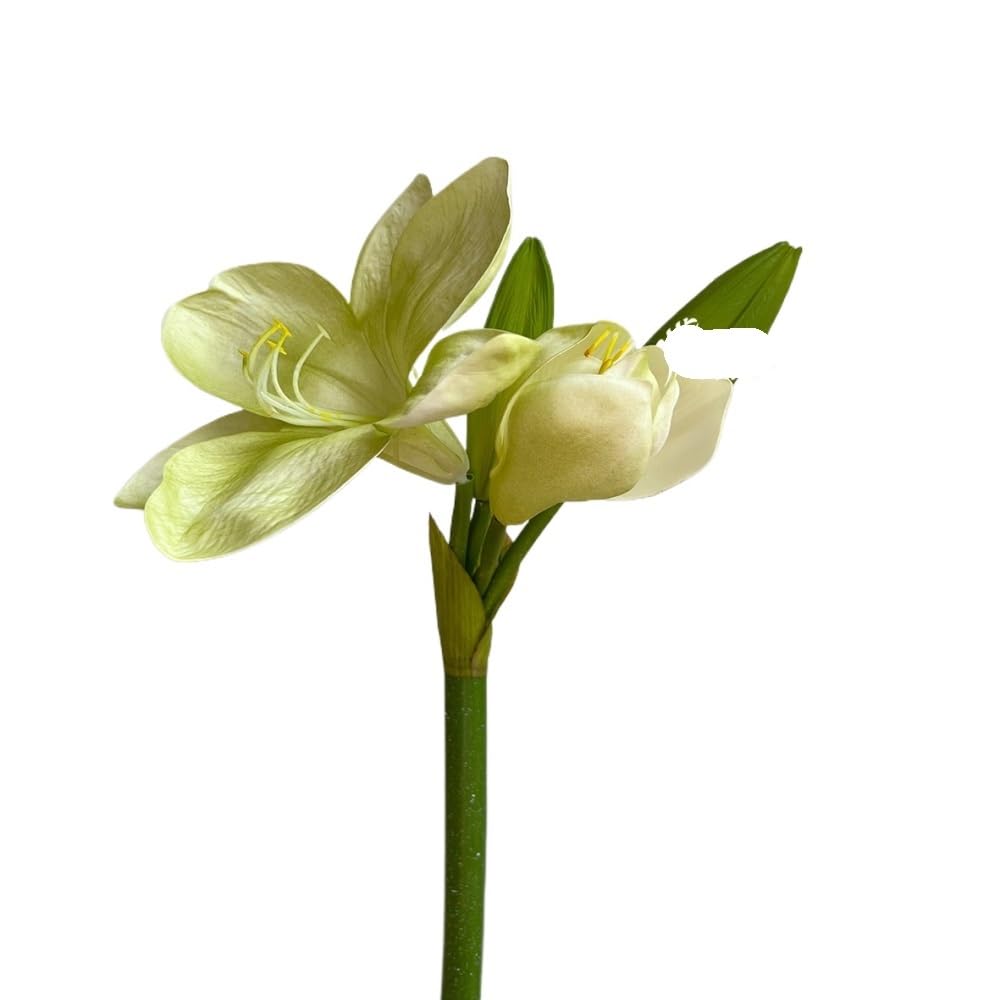 Dekoracje z kwiatów sztucznych, Artificial Faux Flower Bouquet for Home Decor Wedding Table Centerpiece in Light Green