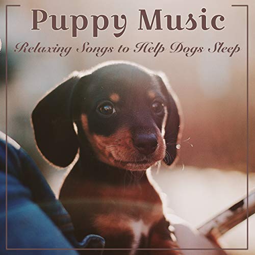 Puppy Music Dreams