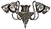 Craftmade F565CFL-BN 5 Light Universal Fitter