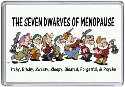 The Seven Dwarves of Menopause - Funny Fridge Magnet, 9 x 6 cm