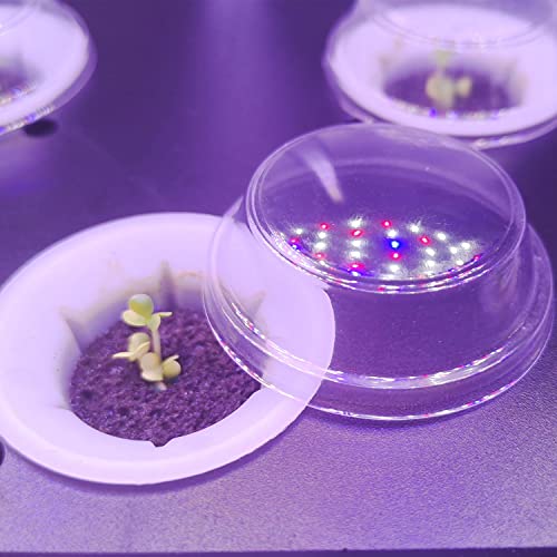 Plant Grow Domes 50 pcs Clear Plastic Plant Domes Compatible with Aerogarden Indoor Hydroponics Growing System, Garden Germination -Greenhouse Grow Covers (Round) - Image 3