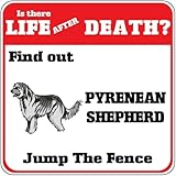 Durable et matériau : fabriqué à partir d'étain de qualité supérieure avec impression résistante à la décoloration, assurant une couleur et une durabilité durables. Léger et facile à accrocher avec des trous pré-percés.