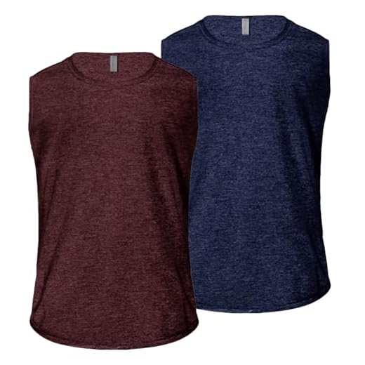 Kit 2 Camisetas Regata Machão Dry Fit Plus Size Academia Masculina Fitness (Vinho e Azul, G1)