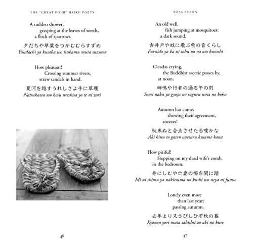 A Beginner's Guide to Japanese Haiku: Major Works by Japan's Best-Loved Poets - From Basho and Issa to Ryokan and Santoka, with Works by Six Women Poets (Free Online Audio) - Image 8