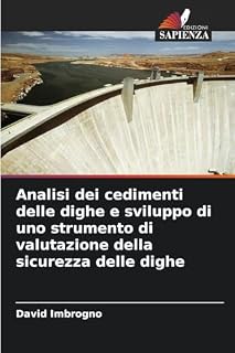 Analisi dei cedimenti delle dighe e sviluppo di uno strumento di valutazione della sicurezza delle dighe