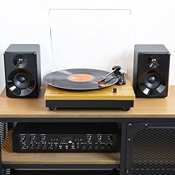 Fenton RP112L Platine Vinyle Bluetooth à 3 Vitesses – Bois Clair, Tourne Disque avec Haut-parleurs intégrés, adaptée… - Les Beatles, Paul McCartney, John Lennon, RIngo Starr, George Harrison Fenton RP112L Platine Vinyle Bluetooth à 3 Vitesses - Bois Clair, Tourne Disque avec Haut-parleurs intégrés, adaptée… – Image 6