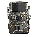 La cámara impermeable de 1080p tiene una pantalla de color TFT incorporada de 2.0 pulgadas que puede mostrar imágenes y videos
