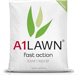 A1 Lawn Fast Action Hard Wearing Patch Repair Grass Seed, 1kg (30-60m2) - UK Resilient, Fast Growing, Fresh, Pet & Child Friendly - Ideal for Patch Repair, Over Seeding & Thickening. DEFRA Approved