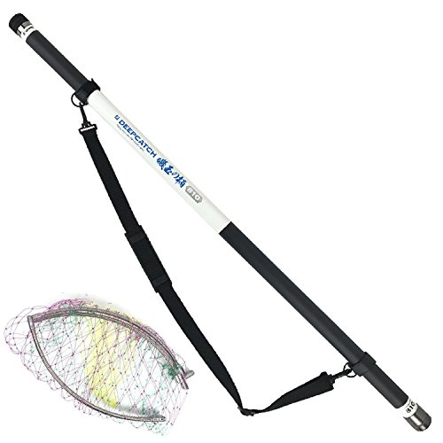 RISEWAY(CYEFC) ʂ̕ fB[vLb` ʃZbg 810