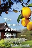 The Summer We Fell Apart: A Novel