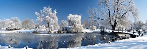 Peinture Diamant Anti Stress Grand Format 50x150cm Paysage Hiver Strass