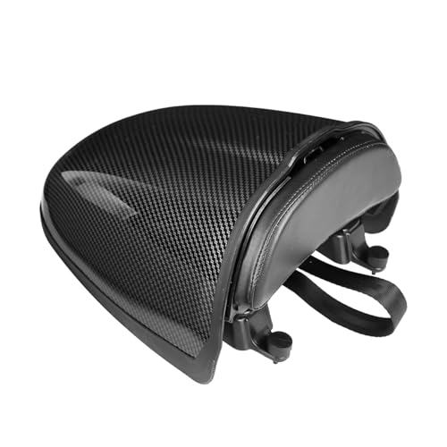 Capot de selle BMW R Ninet avec support plaque sur bras oscillant pour R9T 2014-2022