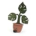 Jellycat Amuseables Potted Monstera Stuffed Toy, 17 inches - Plant Plush - Fun Décor & Gift