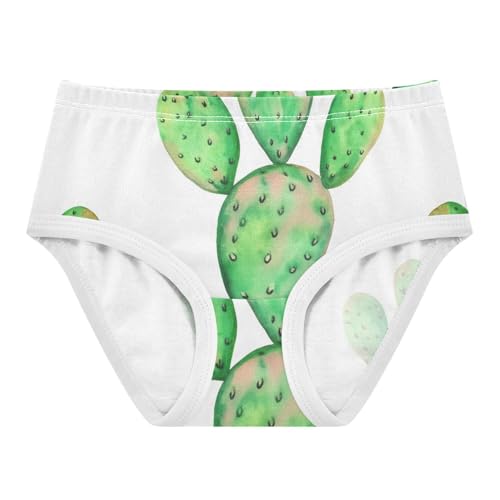 Girls Underwear Toddler 2t Cotton Little Girl Panties Flower Underpants Briefs Green Watercolor Cactus White