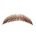 Fake Beard Human Hair Full Hand Tied Lace Fake Mustache, Realistic Makeup for Halloween or Other Funny Cosplay Costume Party Theater (Style 2-Brown)