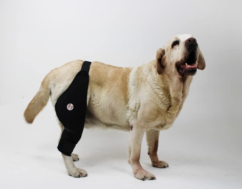 Lana Paws Knee Brace for Dogs - Soft Compression Brace for Knee Injuries, Pain Relief and Joint Conditions in Dogs, Left Leg, Large (B0BY4V5L1V) Amazon Price History, Amazon Price Tracker