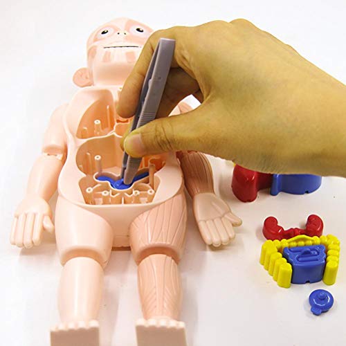 Faruxue Kits de brinquedo de anatomia do corpo humano, kits de aprendizagem de ciências para estudan
