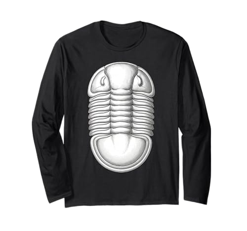 Isotelus Trilobite Fossil ? �I���h�r�X�I�Ð����w�A�[�g ����T�V���c