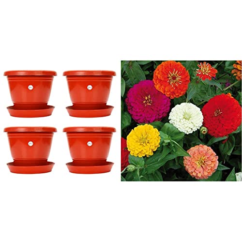 Image of Kraft Seeds 8-inch Garden Balcony Flowering Planter with Bottom Plate /Tray (Red /Terracotta, Pack of & Zinnia Dahlia Flowers Mix GMO-Free Seeds (Multicolour) Combo