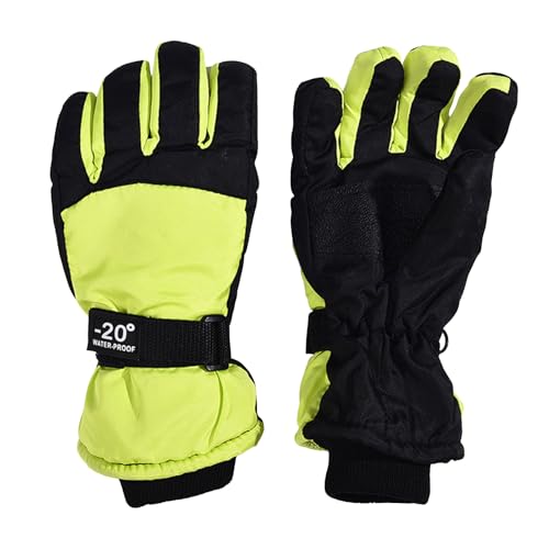 XL[O[u n LbY hۉ j̎q ̎q XL[  Ɍ ~ WjA H g ϖՐ hf ₷ GΉ h 5{w^Cv ʊw Ⴉ V ] AEghA(,22)