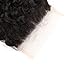 Greatremy 10A 100% Unprocessed Brazilian Human Hair 5x5 Lace Closure Curly Wave 130% Density Brazilian Human Hair with Baby Hair Free Part Natural Color 14inch