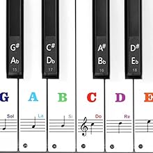 TRANSPARENT DESIGN - Piano stickers are made of high quality PVC material coated with adhesive, clear just like printed on keys without damaging the surface of the keyboard. DETACHEBLE & TRACELESS - The piano letter stickers can be easily removable b...