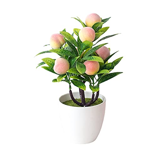 Timpfee Fake Fruit Bonsai|Citrus Plant| Fruit Tree | houseplant | Height 24cm/9in | Pot 8 cm | Living Room Ready Potted Citrus Plant, 2Pcs