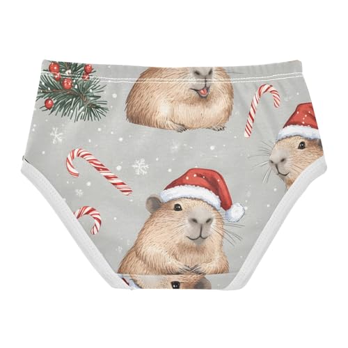 Bright Toddler Girls Underwear 2t Cotton Panties Little Girl Cute Capybara Fun Christmas Briefs Kids Undies2