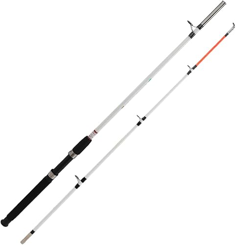 Berkley Big Game - Caña de pescar giratoria